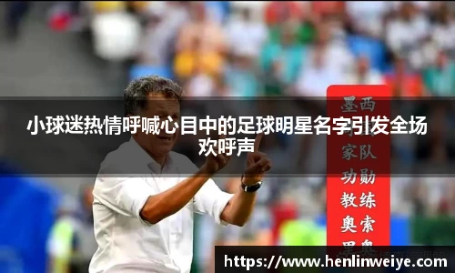 小球迷热情呼喊心目中的足球明星名字引发全场欢呼声